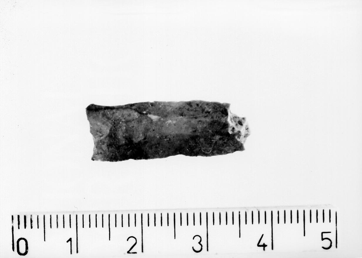 lamella non ritoccata/ frammento (Neolitico)