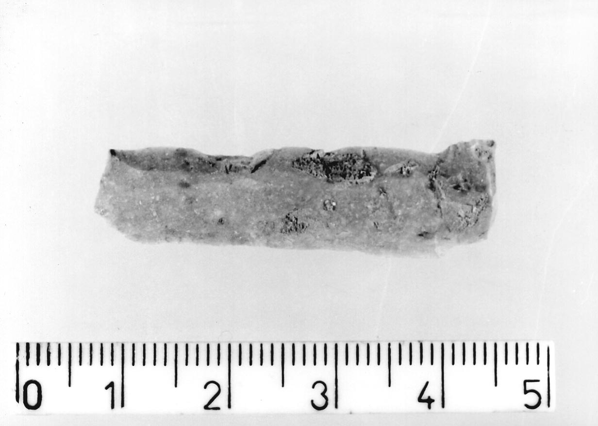 lamella non ritoccata (Neolitico)