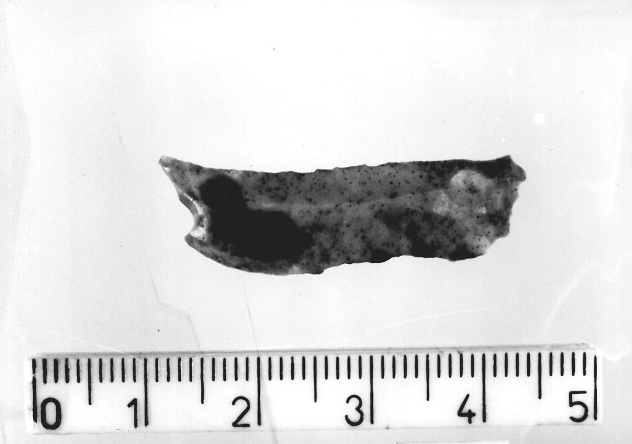 lama non ritoccata/ frammento (Neolitico)