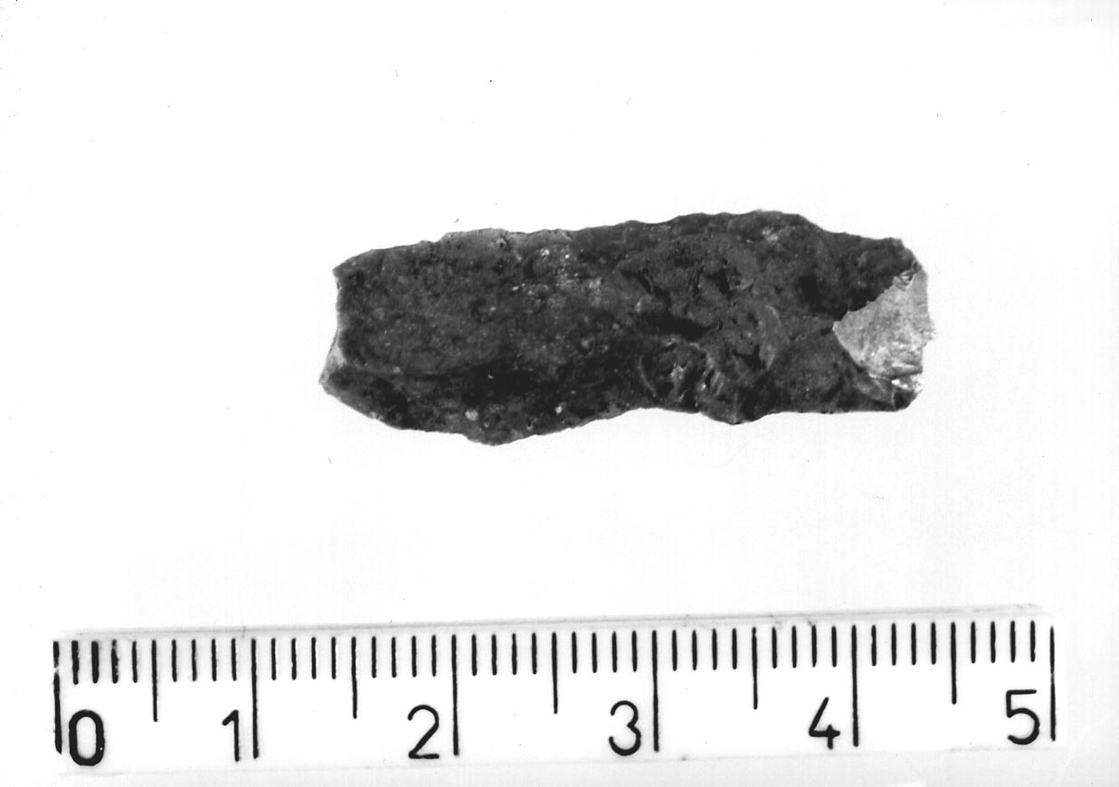 lamella non ritoccata (Neolitico)