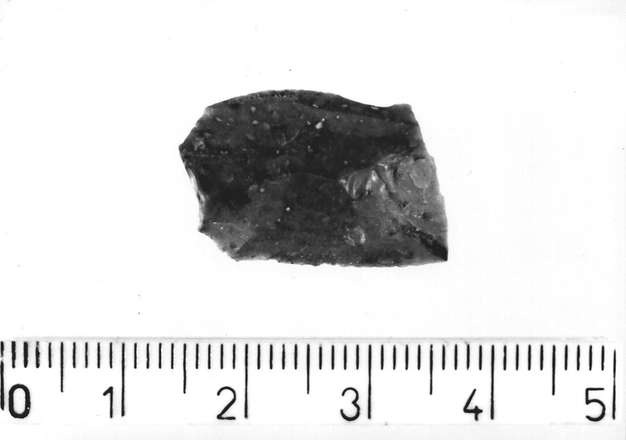 lamella non ritoccata/ frammento (Neolitico)