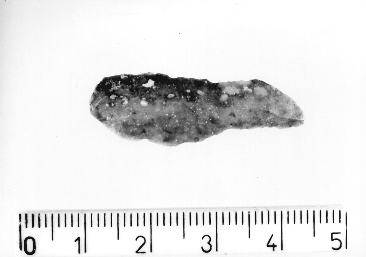 lamella non ritoccata (Neolitico)