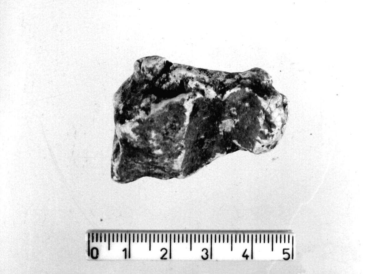 intonaco di capanna/ frammento (Neolitico)