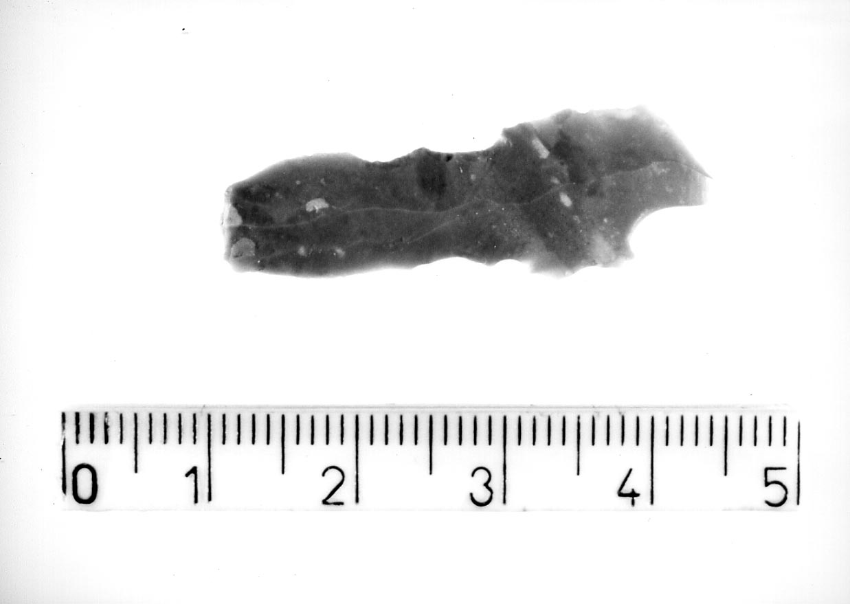 raschiatoio denticolato su lamella (Neolitico)