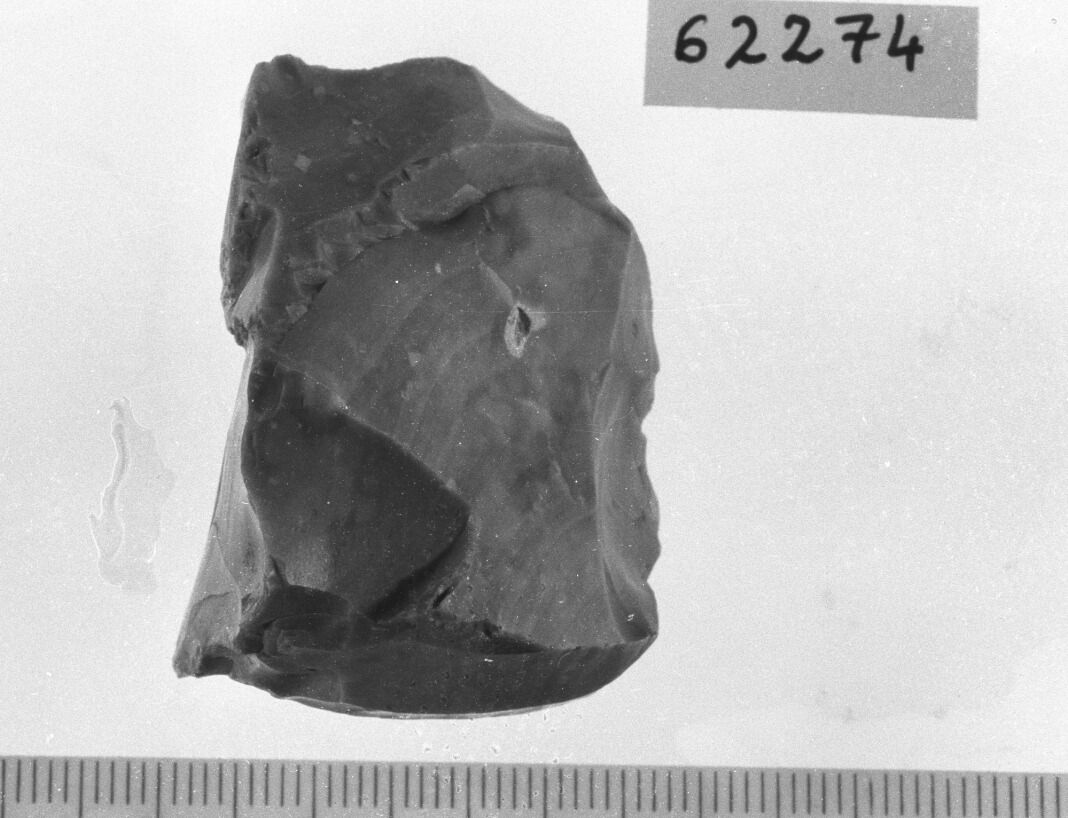 nucleo/ frammento (Neolitico)