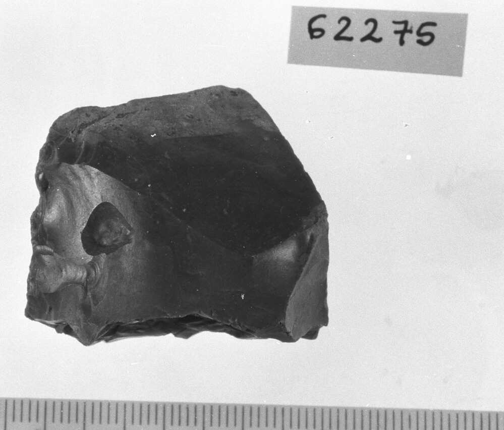 nucleo per distacco di lamelle (Neolitico)