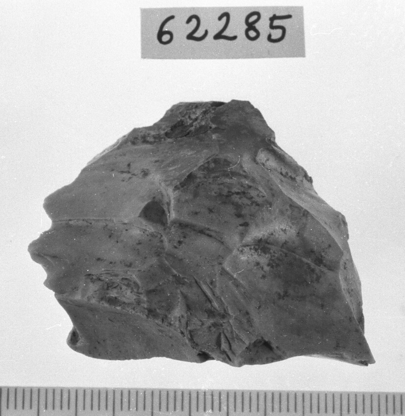 nucleo per distacco di lamelle (Neolitico)