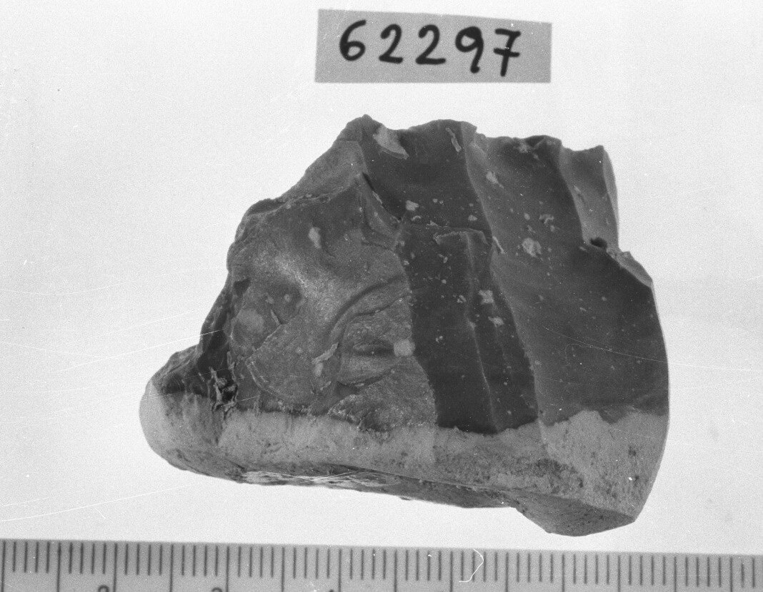 nucleo per distacco di lamelle (Neolitico)