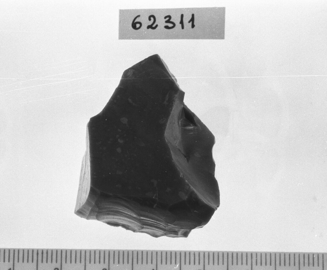 nucleo per distacco di lamelle (Neolitico)