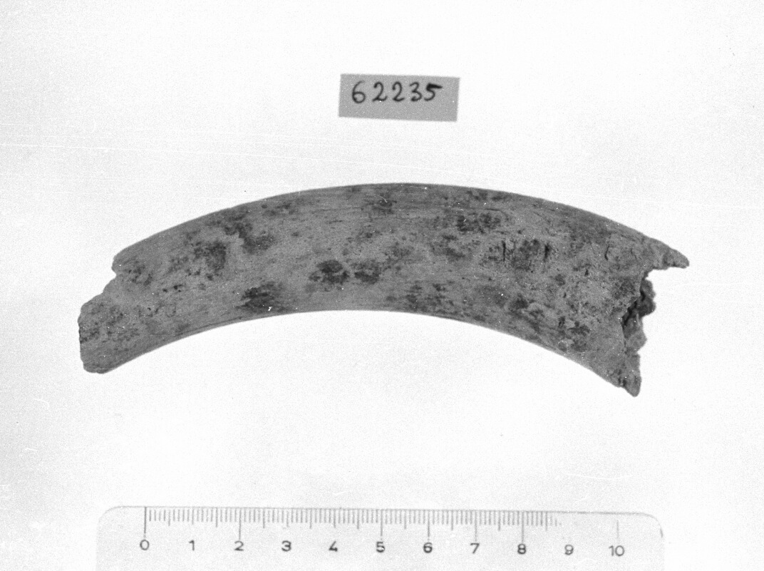 cavicchia di corno di capra (Neolitico)