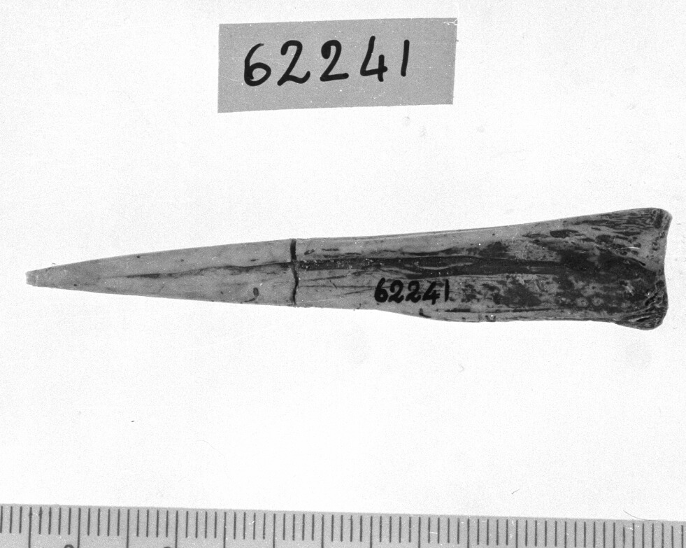 punteruolo (Neolitico)