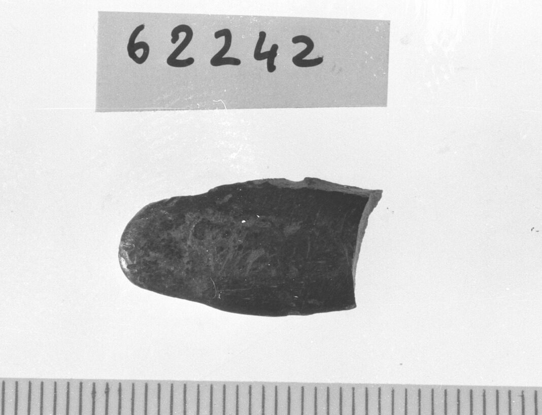 spatola/ frammento (Neolitico)