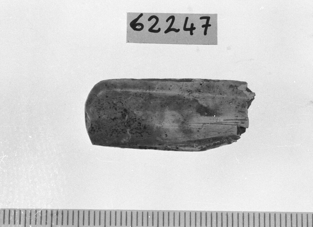 spatola/ frammento (Neolitico)