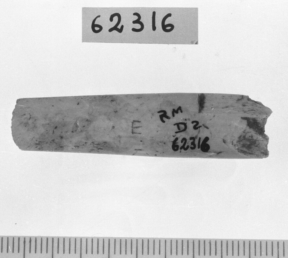 spatola/ frammento (Neolitico)