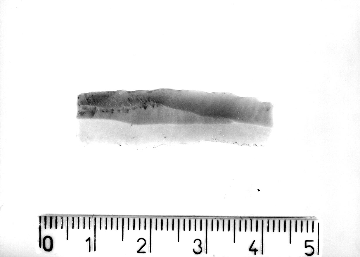 lama-raschiatoio/ frammento (Neolitico)