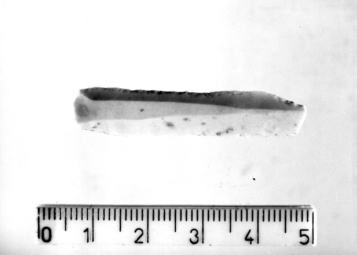 lama a ritocco semplice marginale inverso (Neolitico)