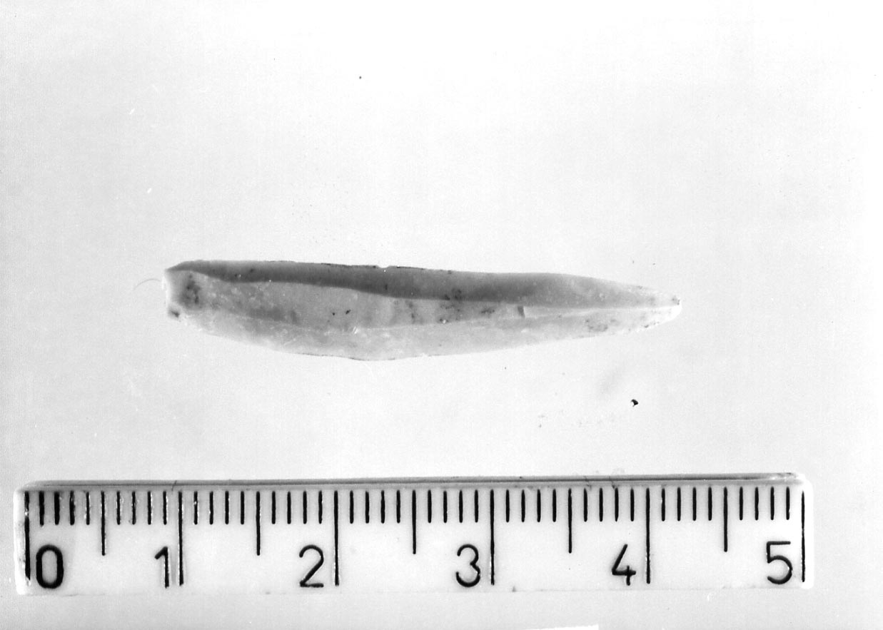 lamella non ritoccata (Neolitico)