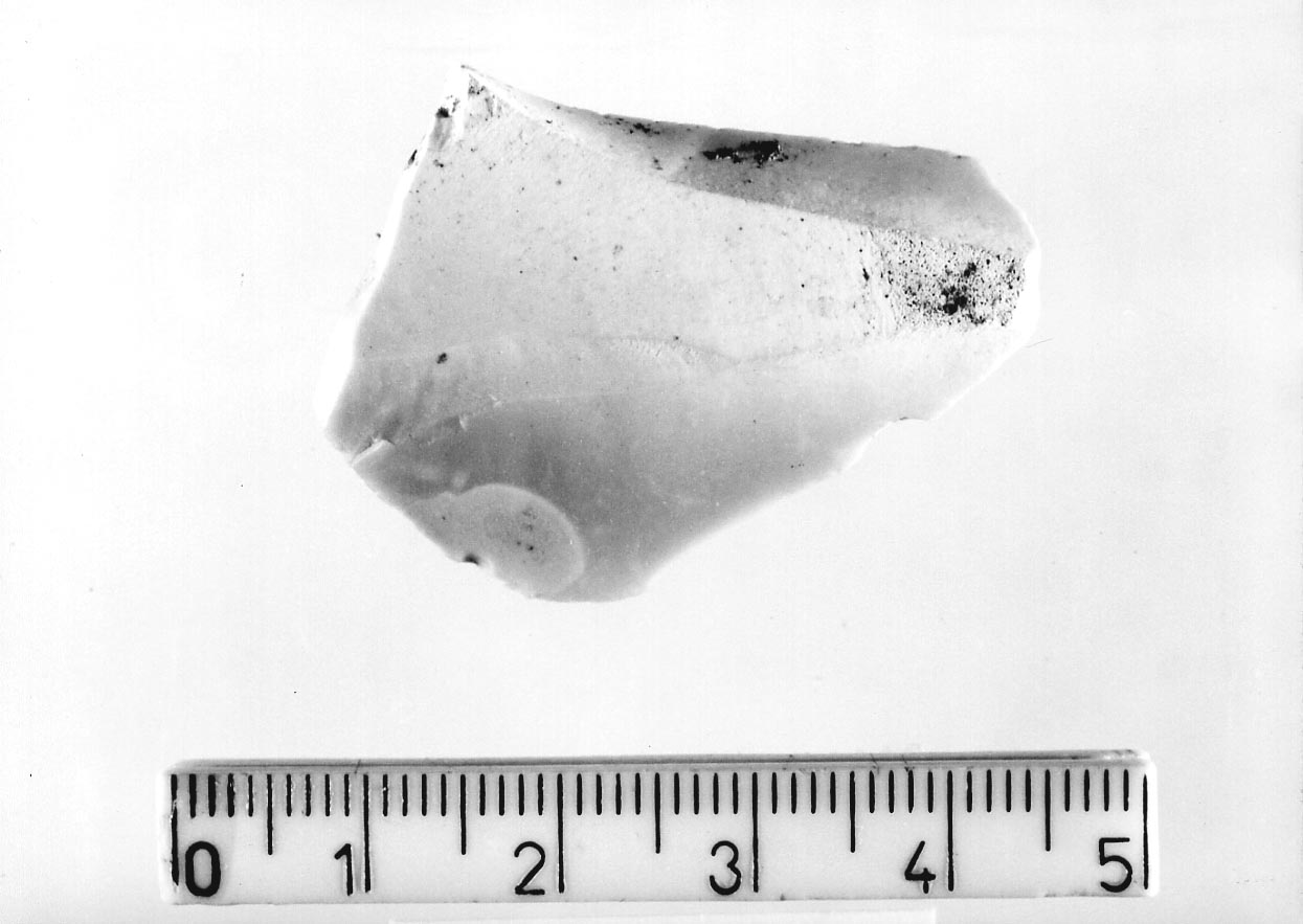 bulino semplice a due stacchi (Neolitico)