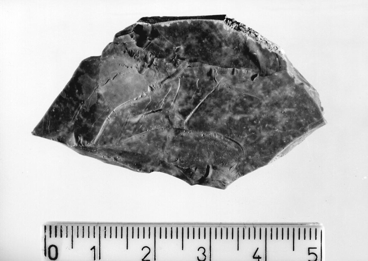 bulino semplice a due stacchi (Neolitico)