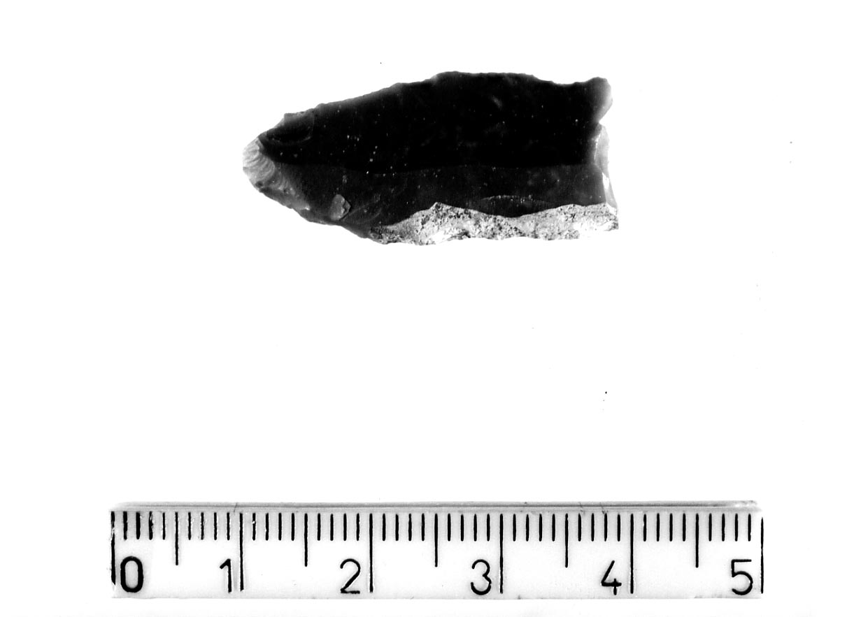 microbulino a dorso/ frammento (Neolitico)