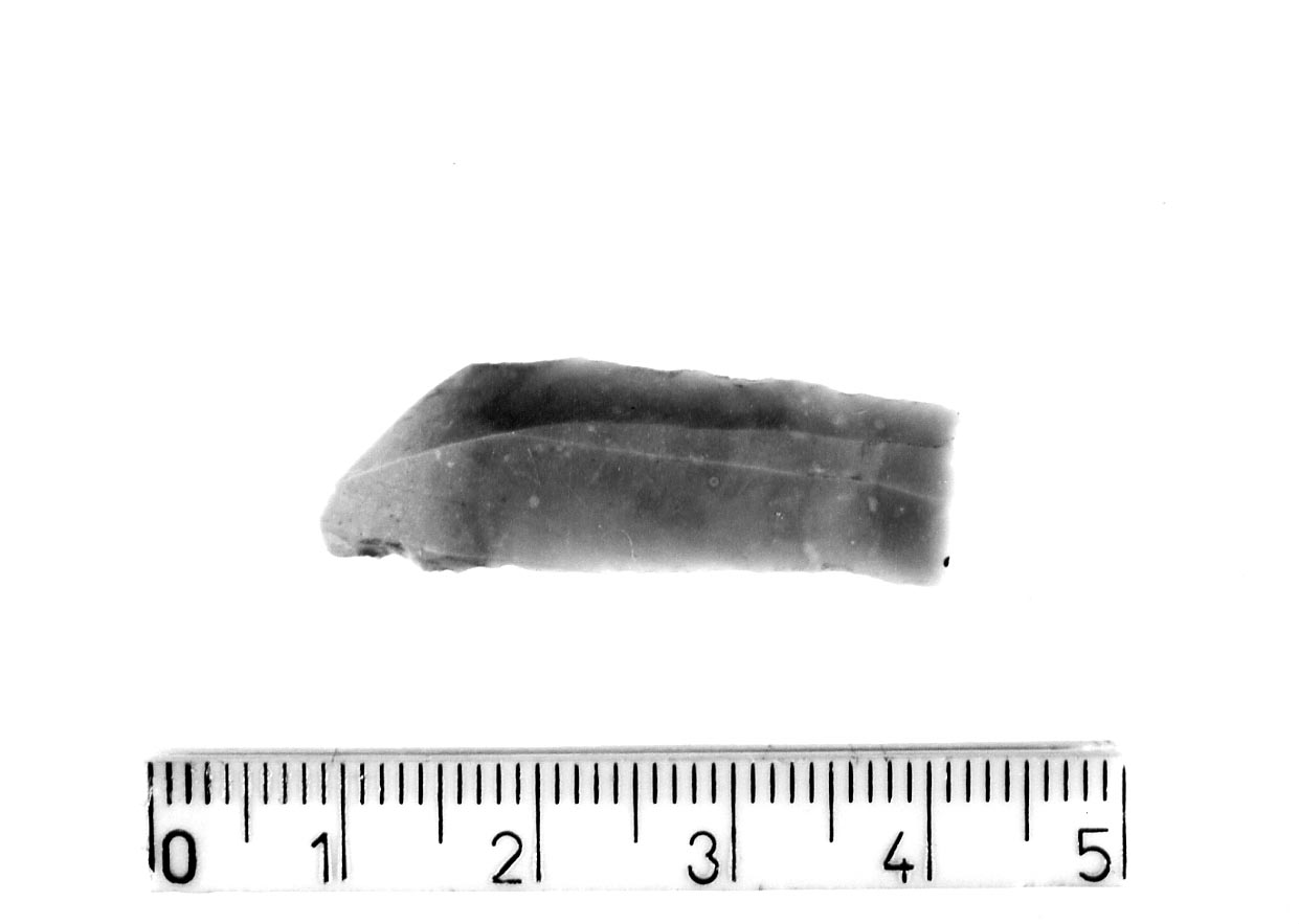 microbulino/ frammento (Neolitico)