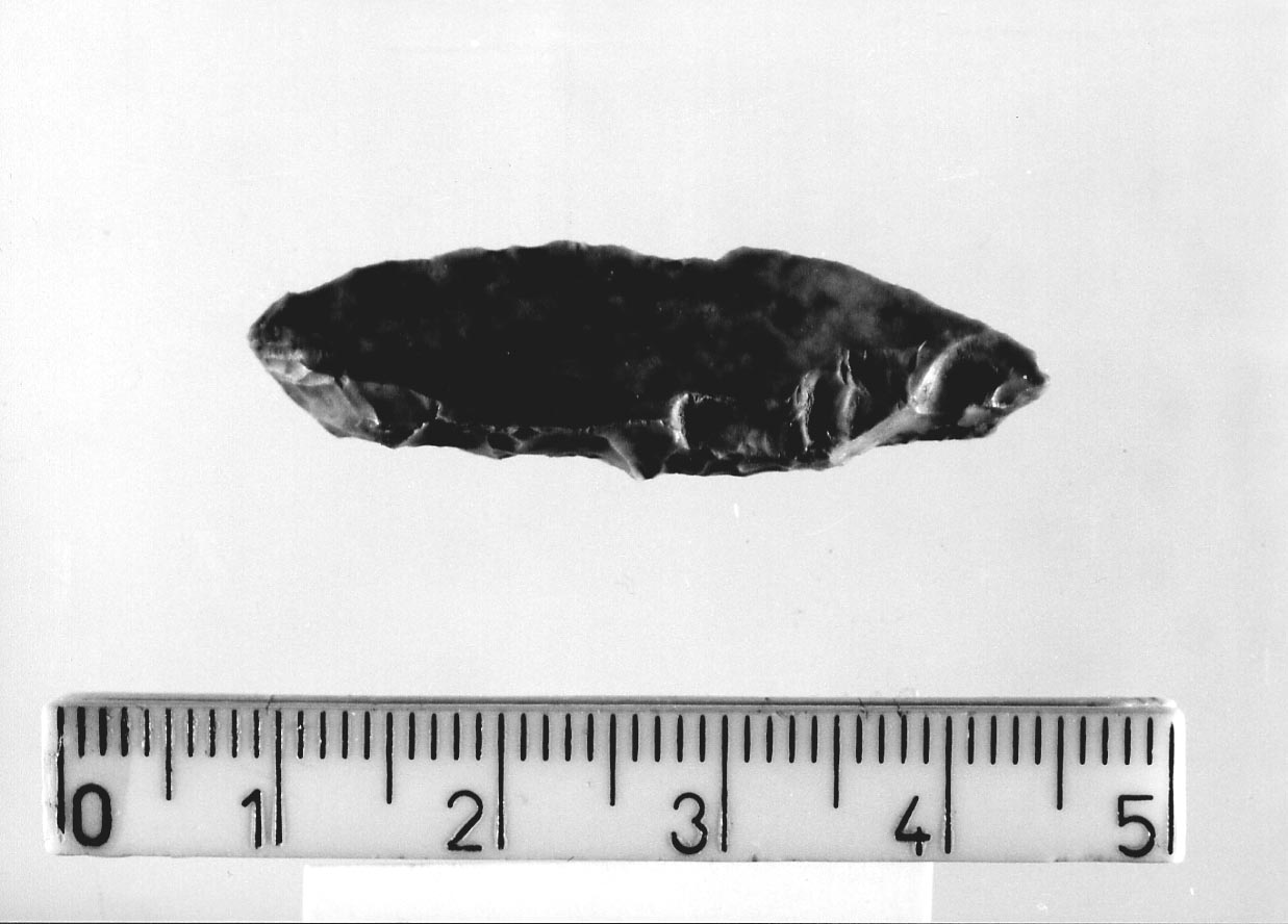 punta a dorso totale (Neolitico)