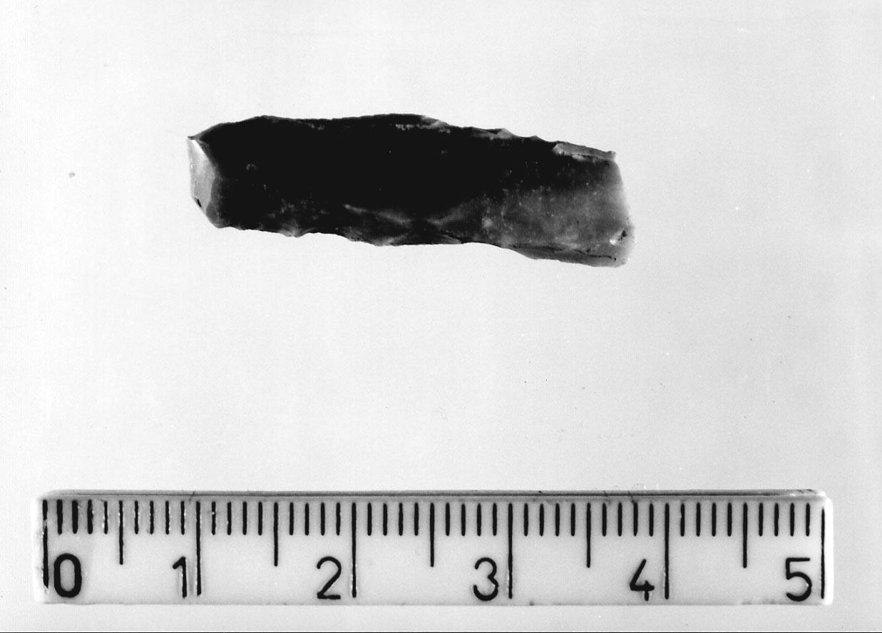 lama a dorso profondo/ frammento (Neolitico)