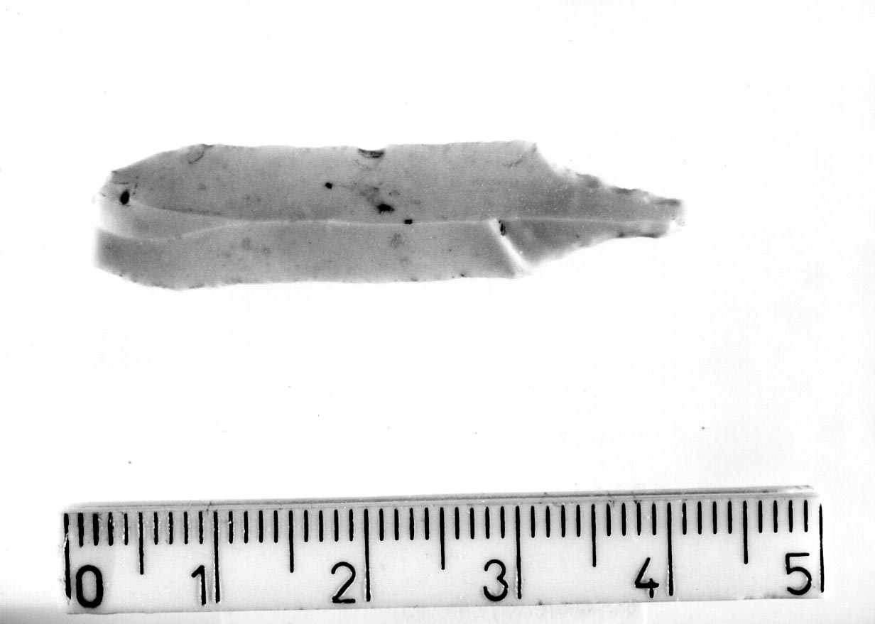 becco punta (Neolitico)