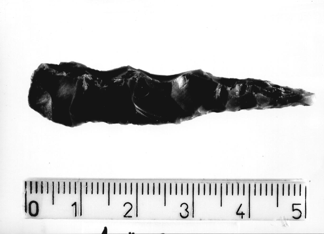 becco punta/ frammento (Neolitico)