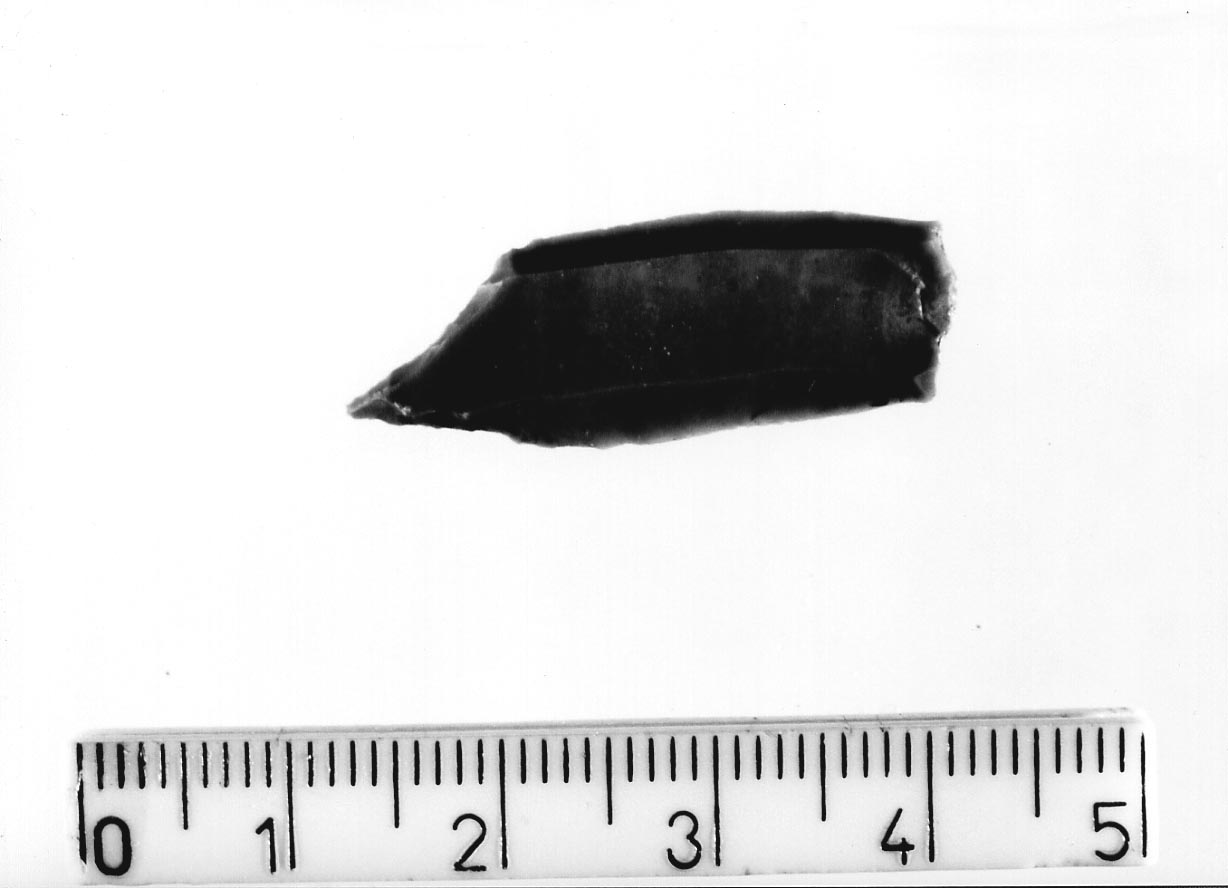 becco punta (Neolitico)