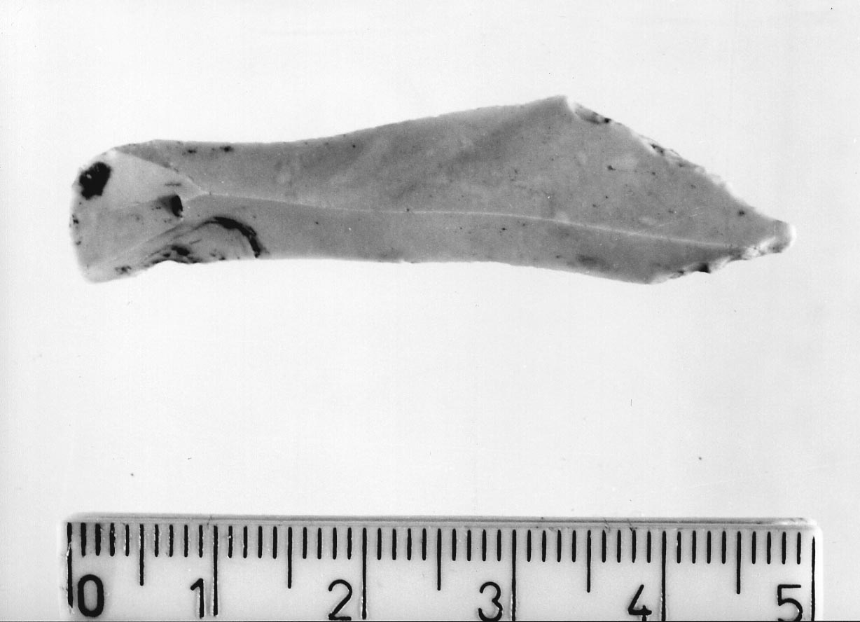 becco punta (Neolitico)