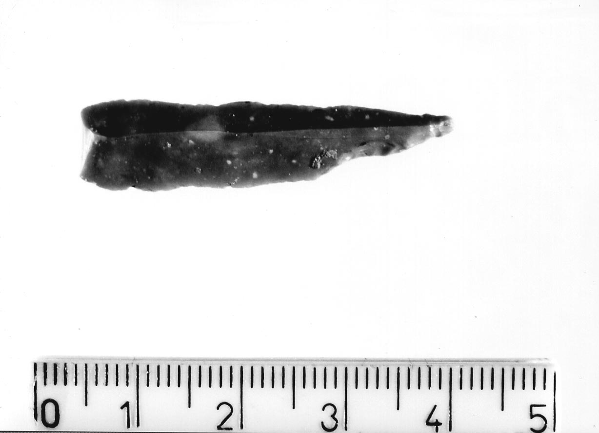 becco punta (Neolitico)