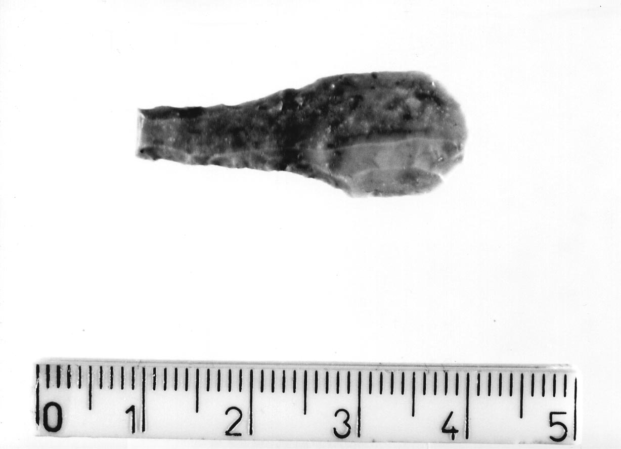 becco punta (Neolitico)