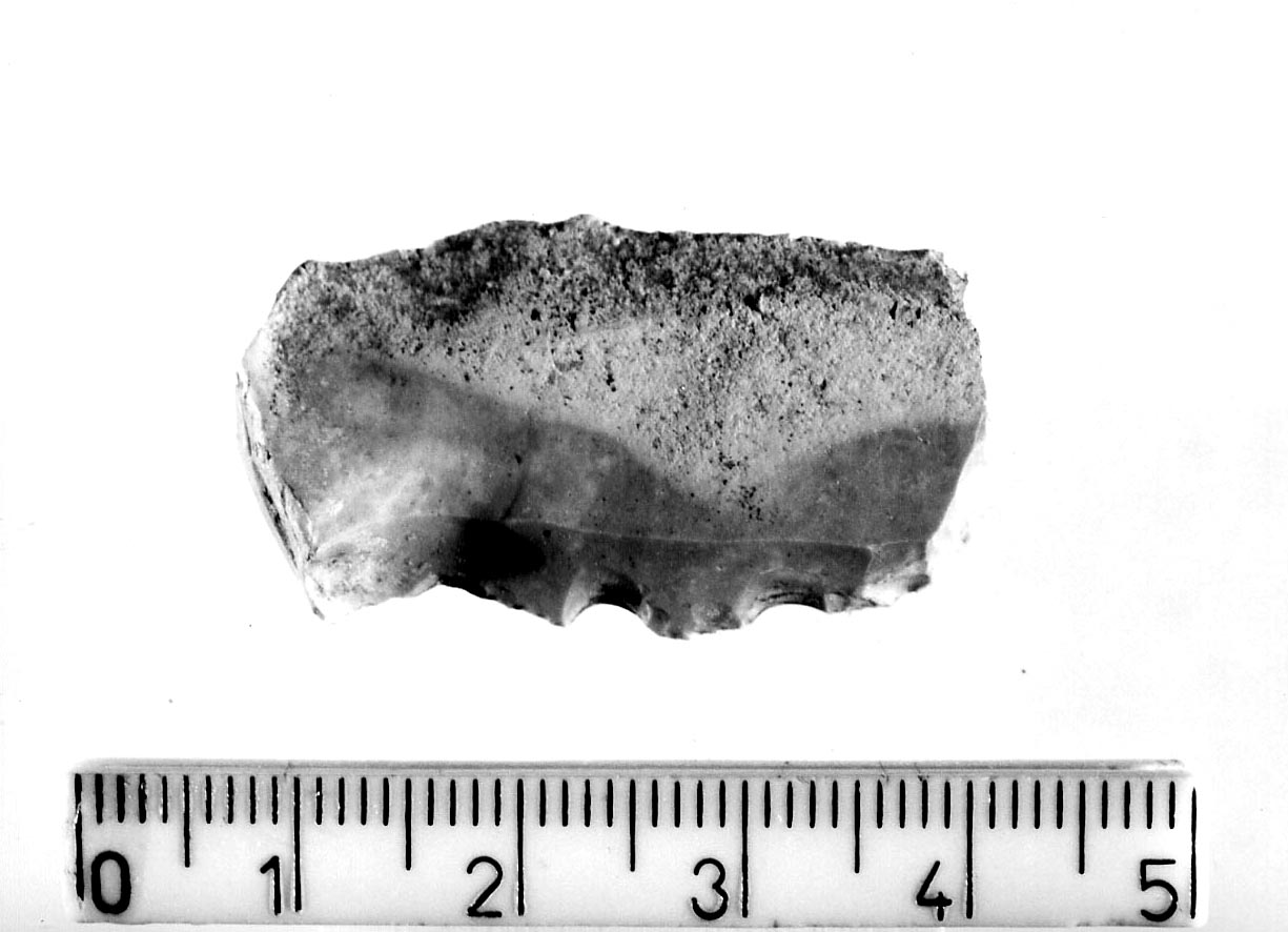 grattatoio frontale lungo (Neolitico)