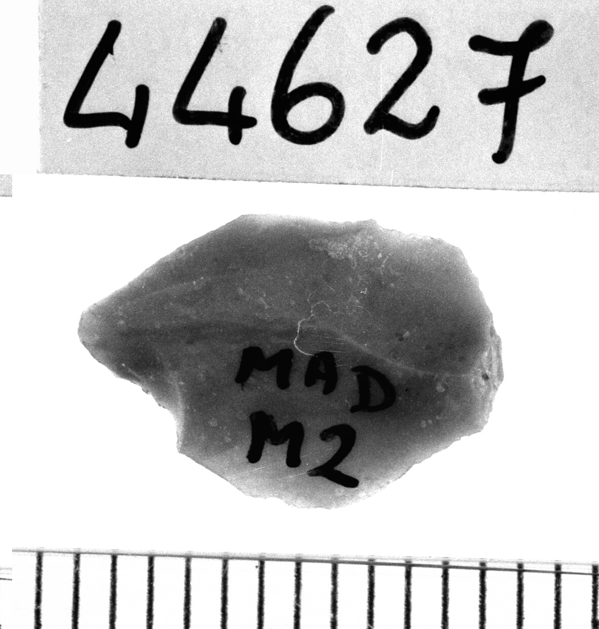 microbulino (Neolitico)