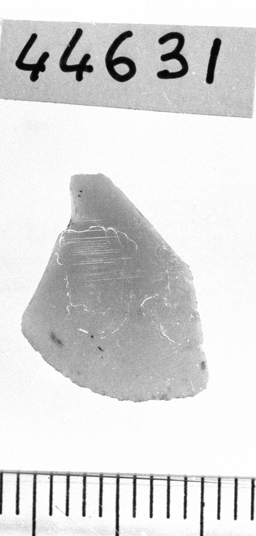 microbulino (Neolitico)