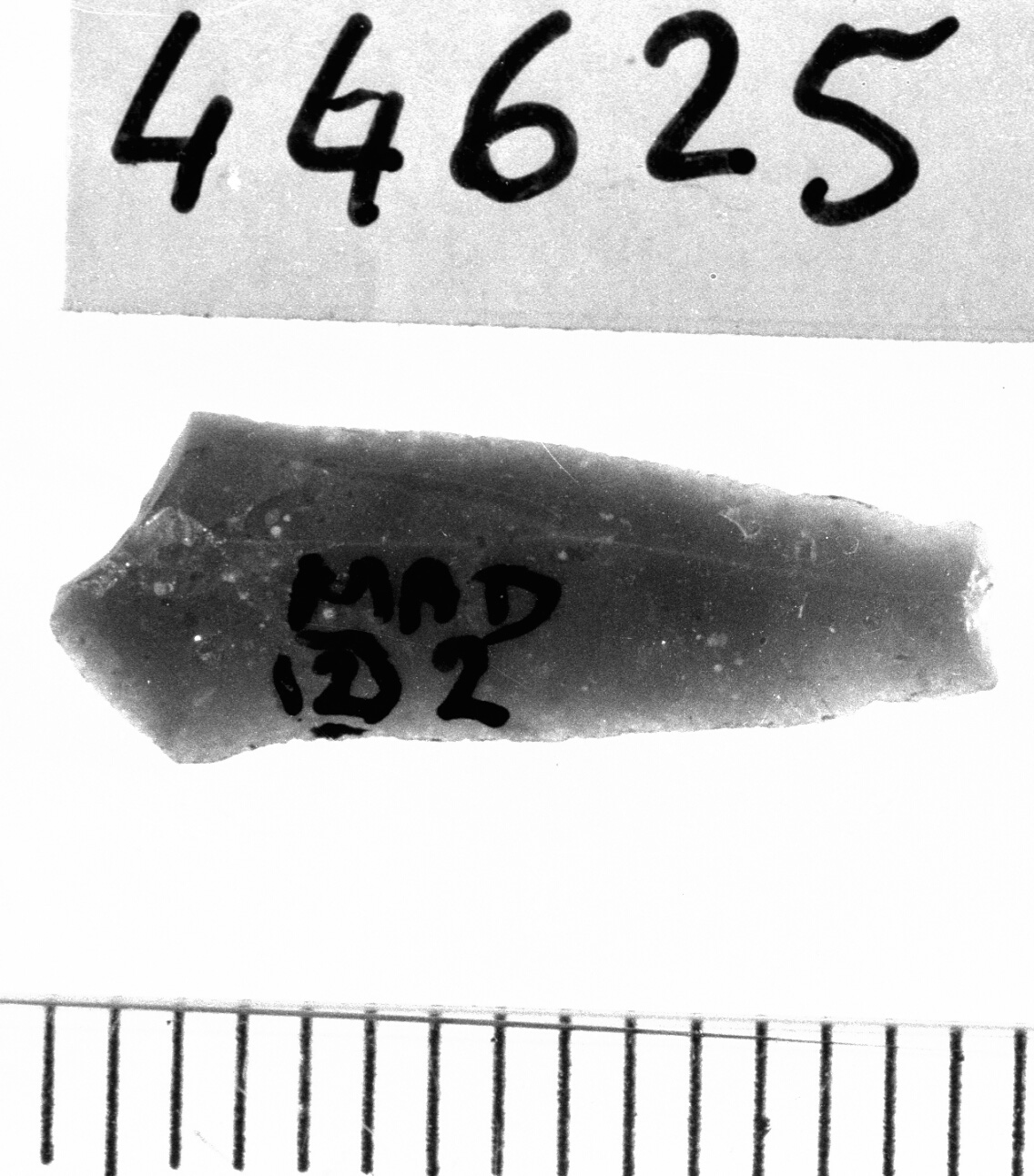 microbulino (Neolitico)