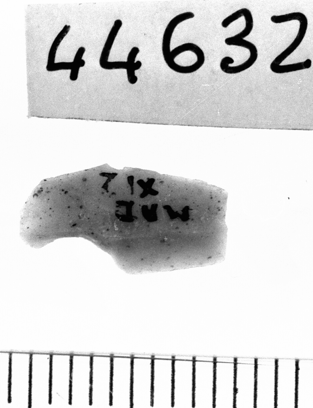 microbulino (Neolitico)