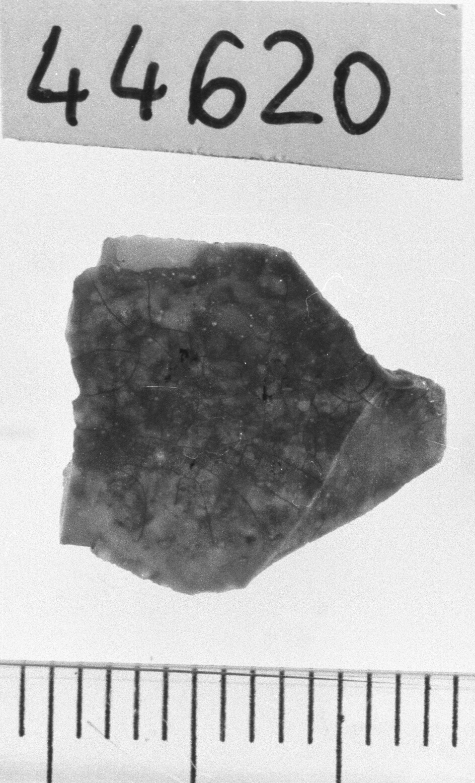 microbulino/ frammento (Neolitico)