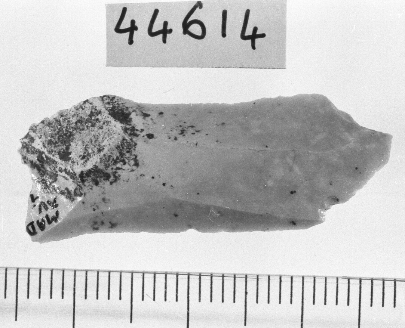 microbulino (Neolitico)