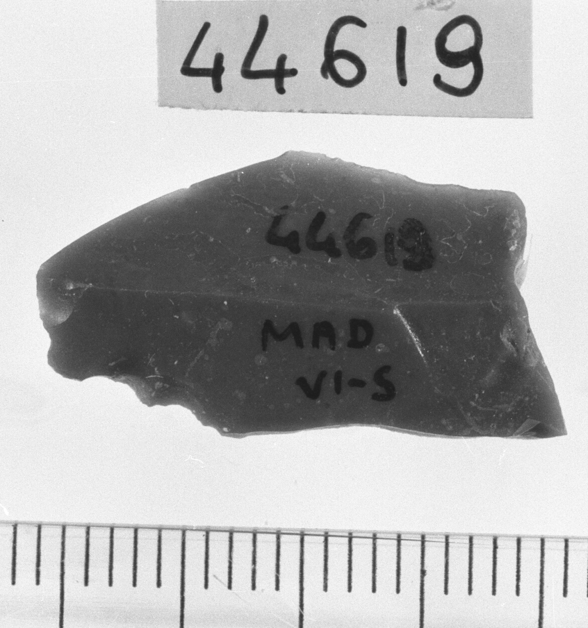 microbulino/ frammento (Neolitico)