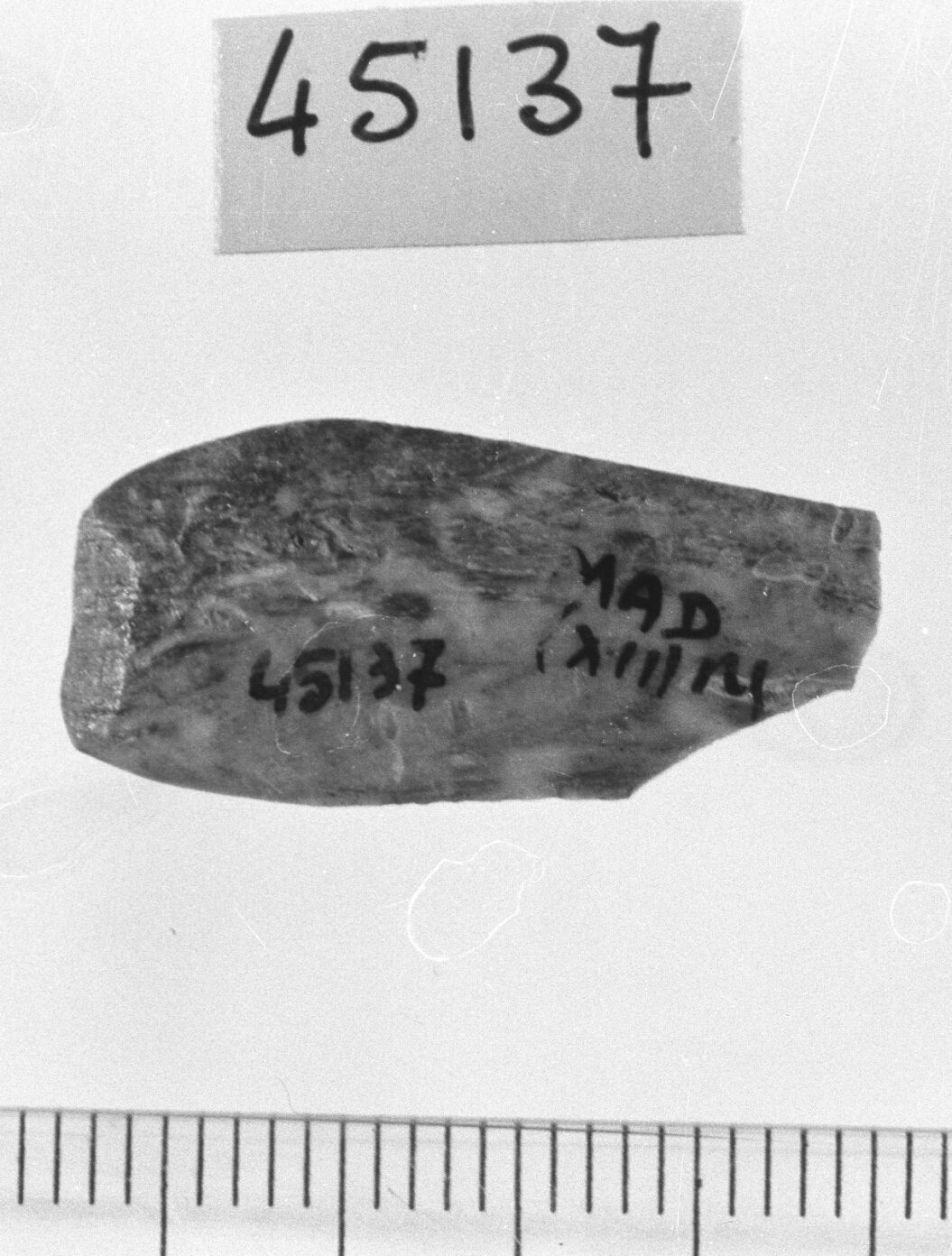 spatola/ frammento (Neolitico)