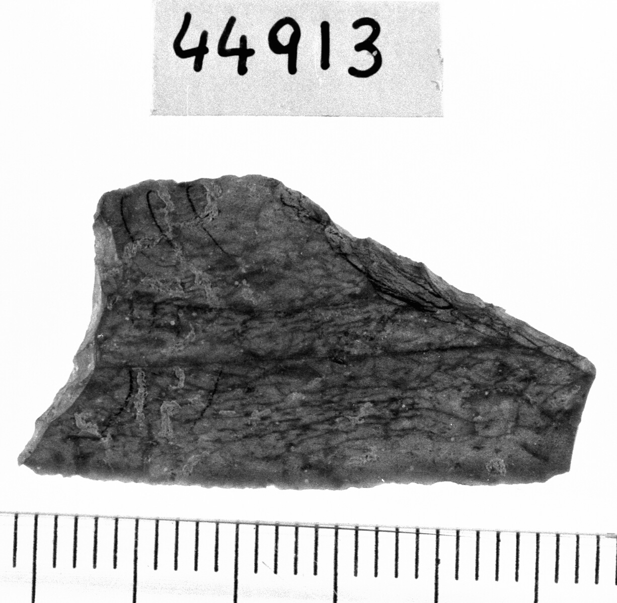 trapezio scaleno (Neolitico)