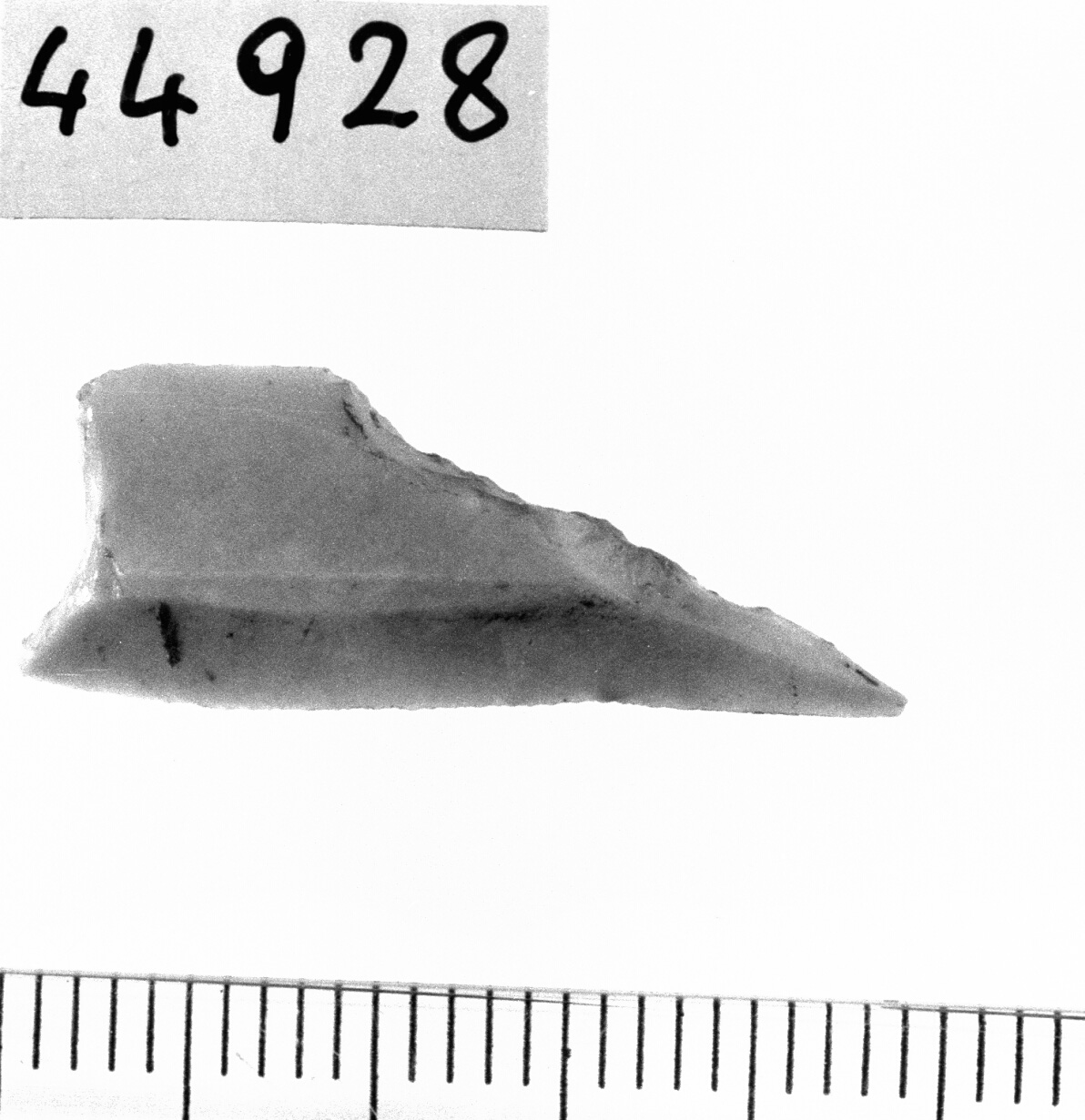 trapezio scaleno allungato (Neolitico)