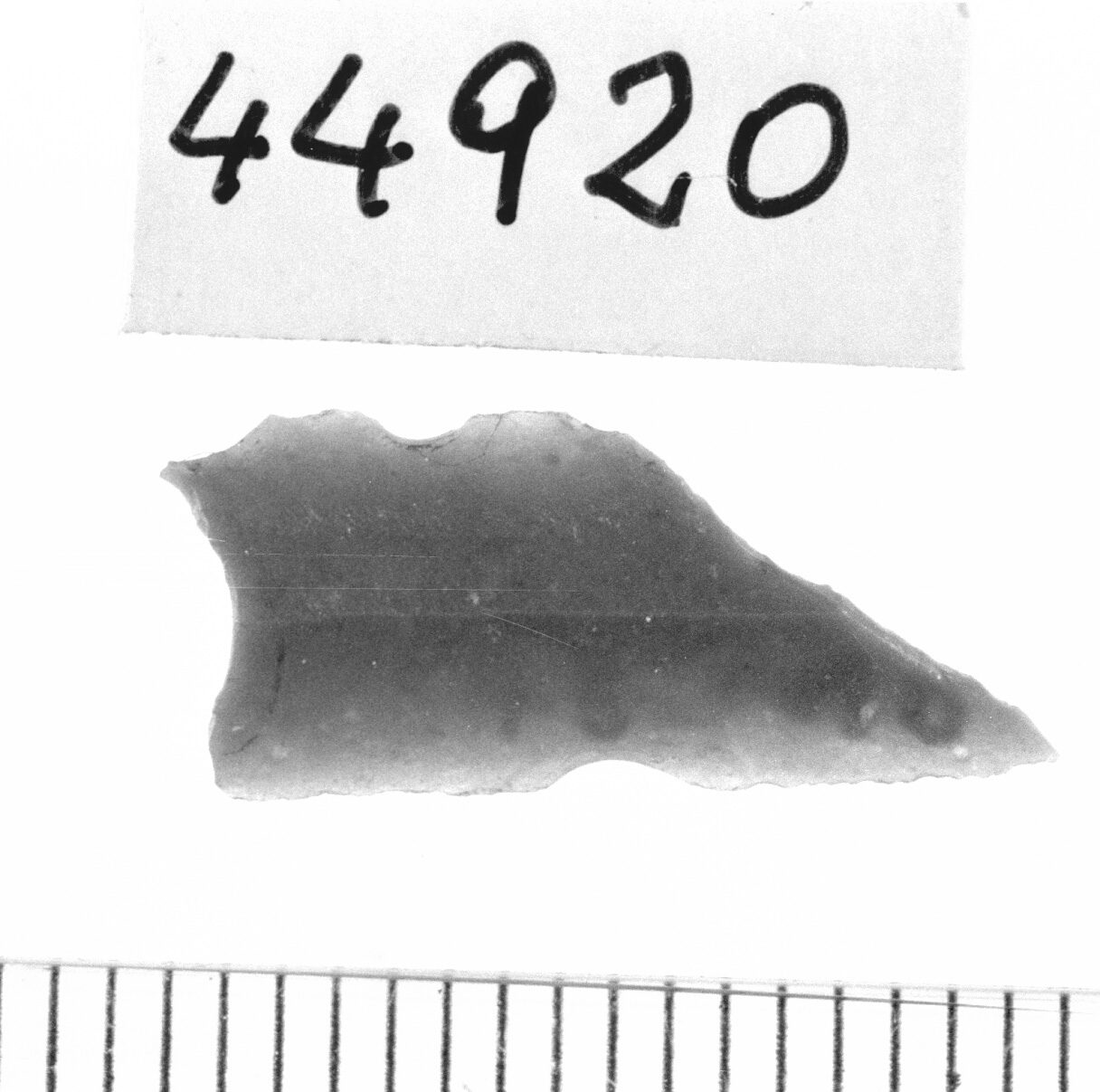 trapezio scaleno (Neolitico)