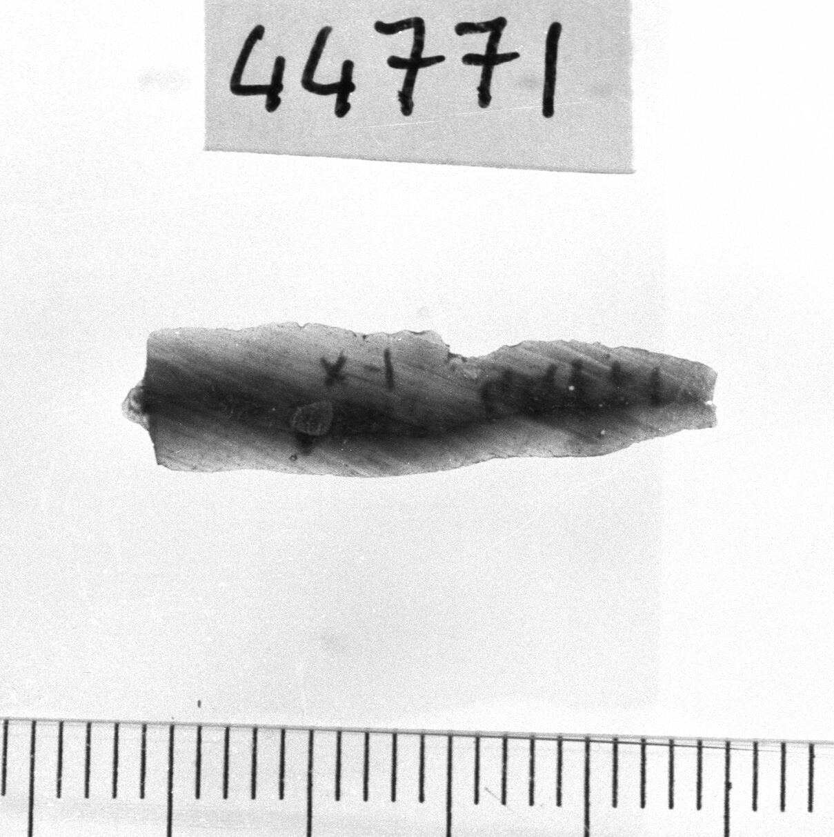 lamella non ritoccata/ frammento (Neolitico)