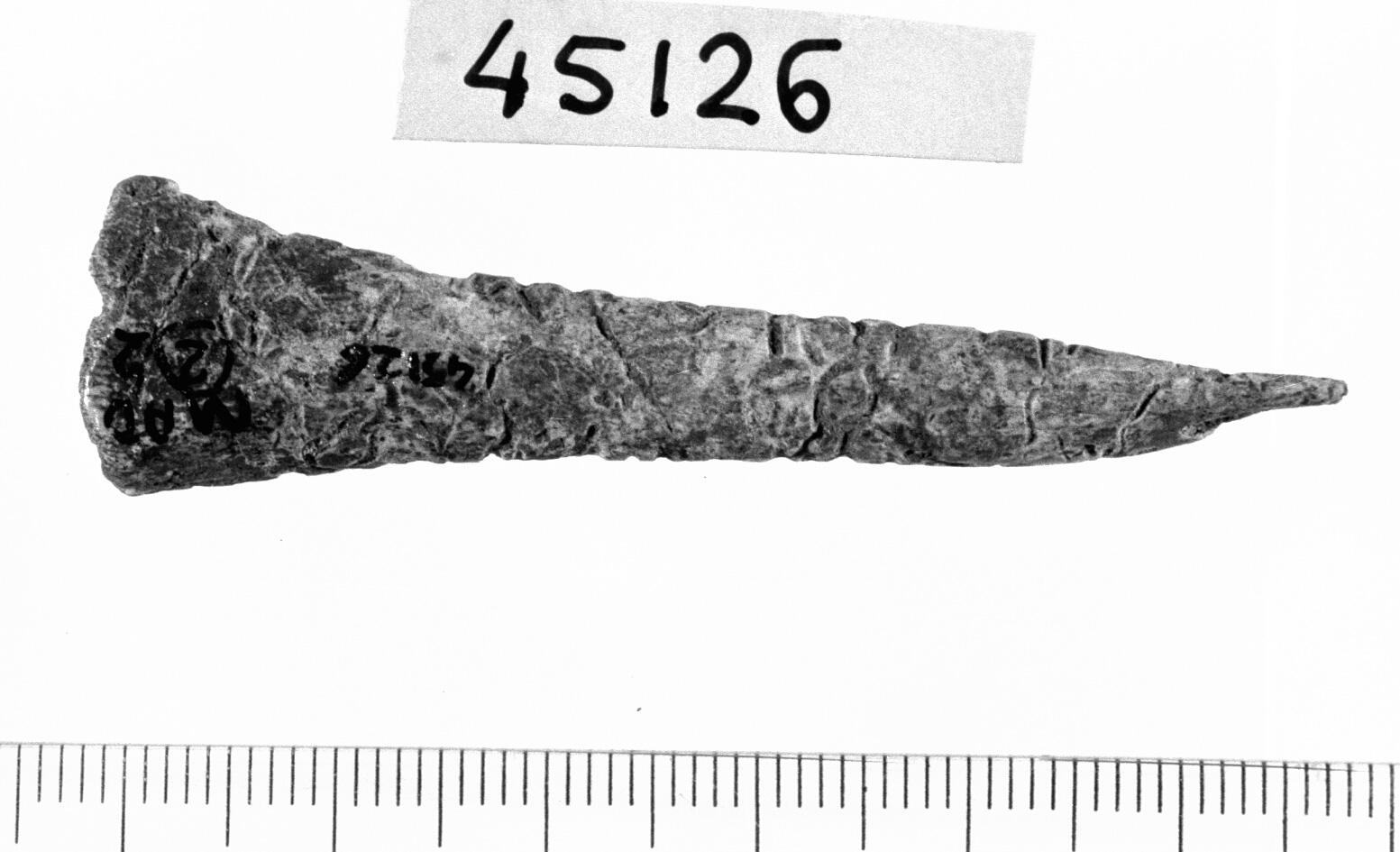 punteruolo (Neolitico)