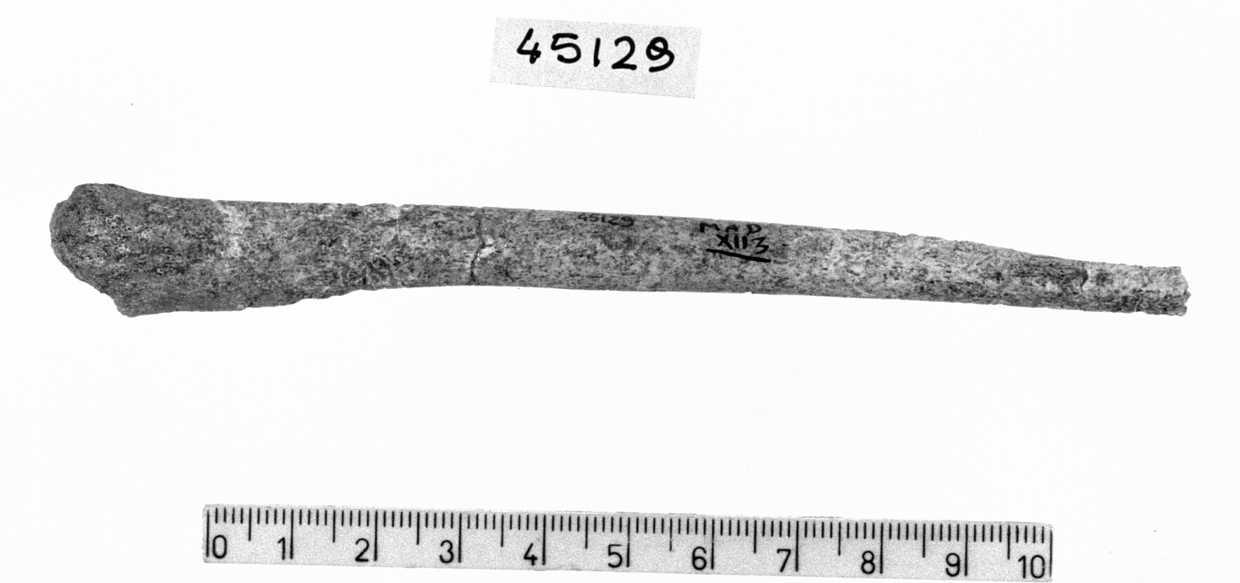 zagaglia (Neolitico)