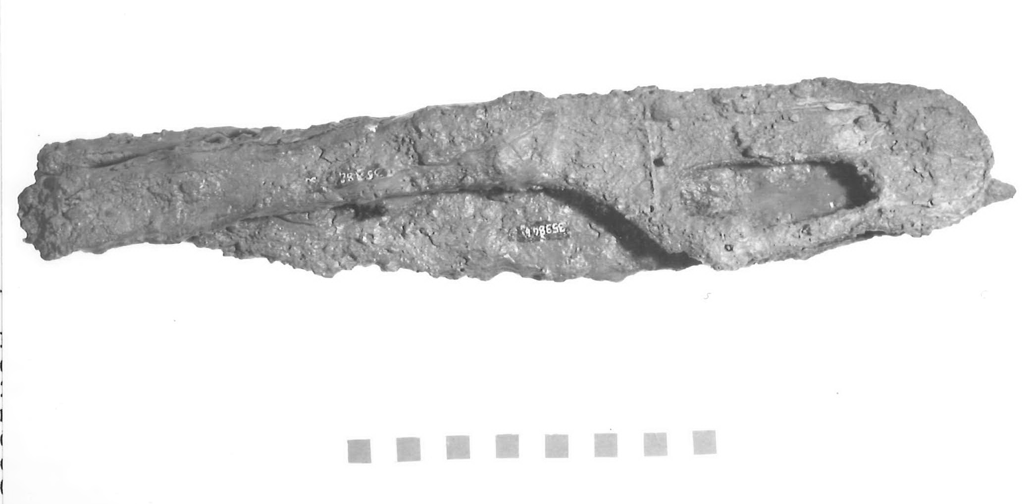 scimitarra - Piceno V (sec. V a.C)