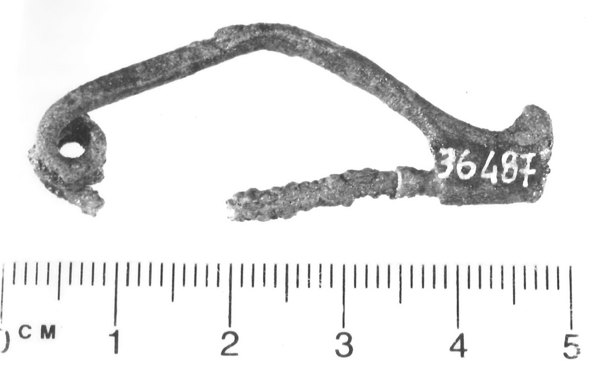 fibula, tipo "Certosa" - Piceno V (sec. V a.C)